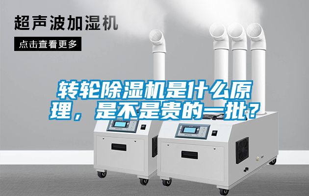 轉(zhuǎn)輪除濕機是什么原理，是不是貴的一批？