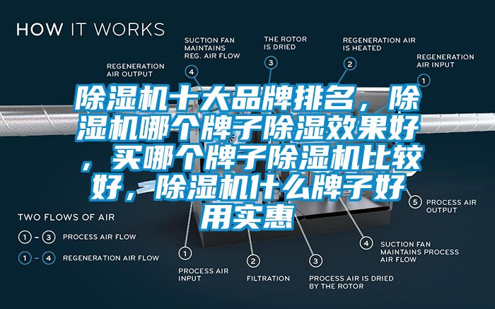 除濕機(jī)十大品牌排名，除濕機(jī)哪個(gè)牌子除濕效果好，買哪個(gè)牌子除濕機(jī)比較好，除濕機(jī)什么牌子好用實(shí)惠