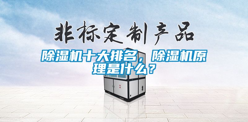 除濕機十大排名，除濕機原理是什么？