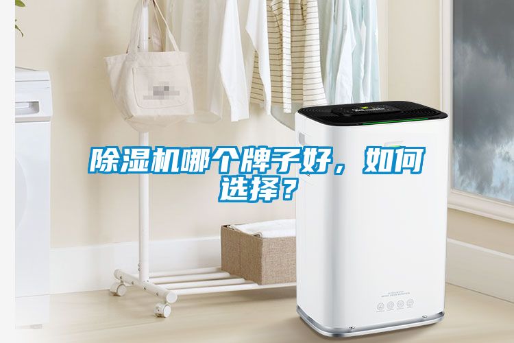 除濕機(jī)哪個(gè)牌子好，如何選擇？