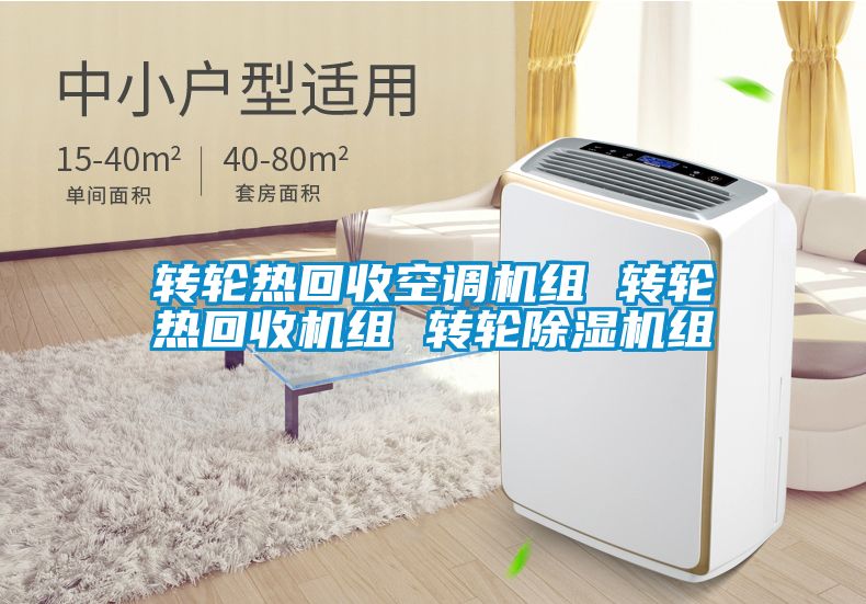 轉輪熱回收空調(diào)機組 轉輪熱回收機組 轉輪除濕機組