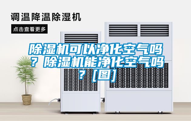 除濕機(jī)可以凈化空氣嗎？除濕機(jī)能凈化空氣嗎？[圖]