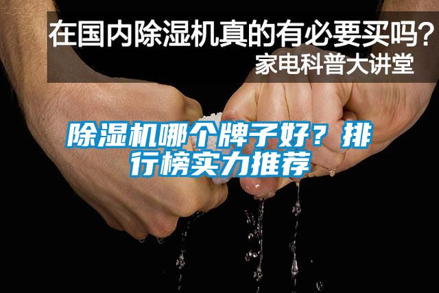 除濕機(jī)哪個牌子好？排行榜實(shí)力推薦