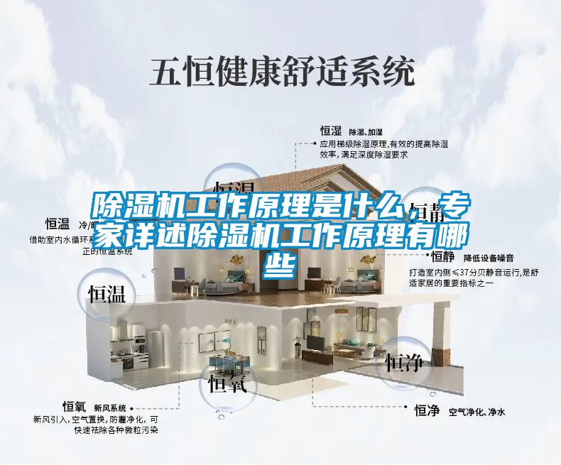 除濕機(jī)工作原理是什么，專家詳述除濕機(jī)工作原理有哪些