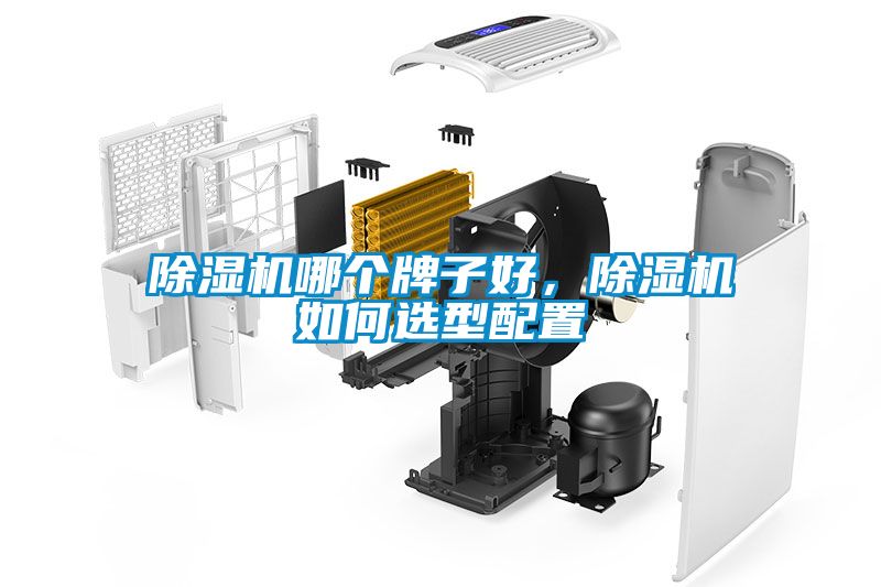 除濕機(jī)哪個(gè)牌子好，除濕機(jī)如何選型配置