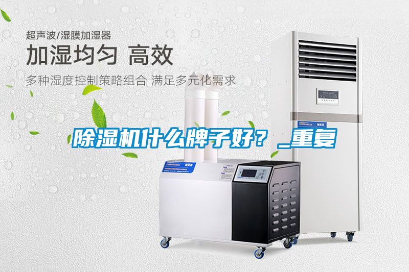 除濕機(jī)什么牌子好？_重復(fù)