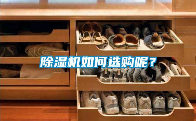 除濕機(jī)如何選購呢？