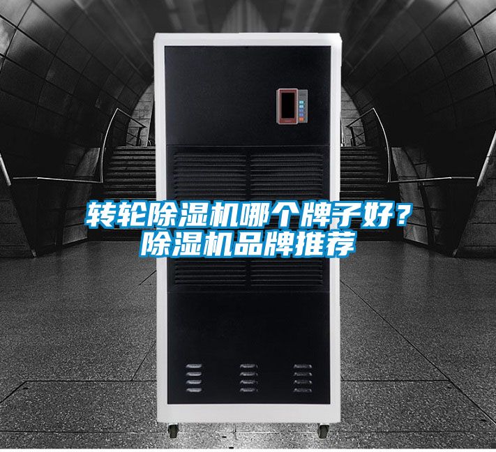 轉輪除濕機哪個牌子好？除濕機品牌推薦