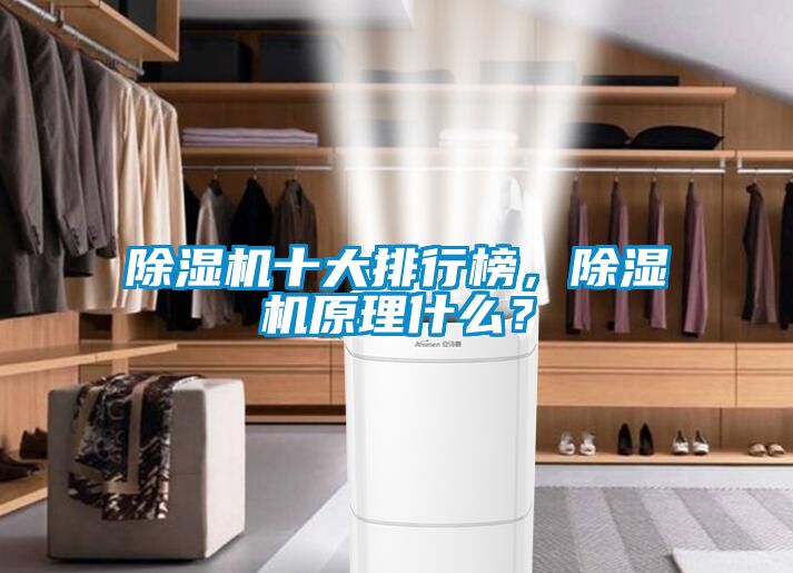 除濕機十大排行榜，除濕機原理什么？