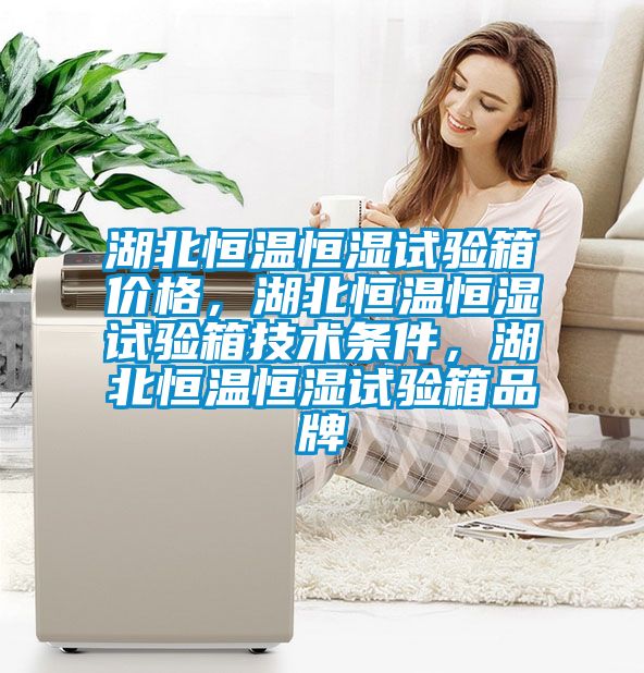 湖北恒溫恒濕試驗箱價格，湖北恒溫恒濕試驗箱技術條件，湖北恒溫恒濕試驗箱品牌