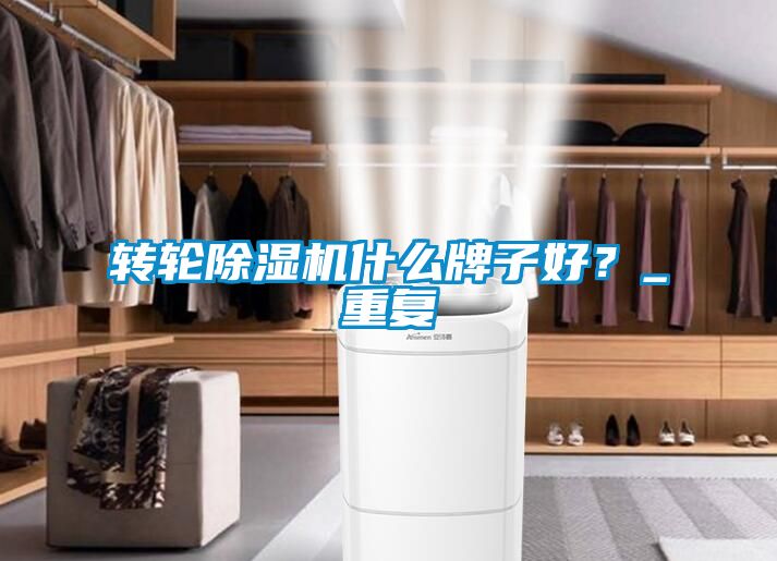 轉(zhuǎn)輪除濕機(jī)什么牌子好？_重復(fù)