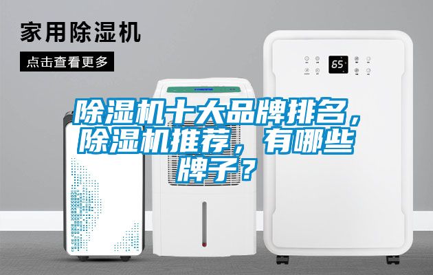 除濕機(jī)十大品牌排名，除濕機(jī)推薦，有哪些牌子？