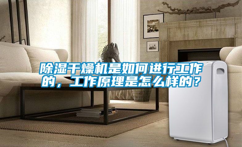 除濕干燥機是如何進行工作的，工作原理是怎么樣的？