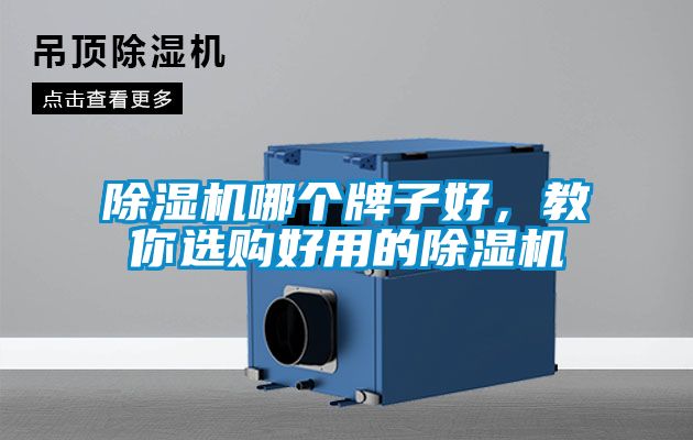 除濕機(jī)哪個(gè)牌子好，教你選購(gòu)好用的除濕機(jī)