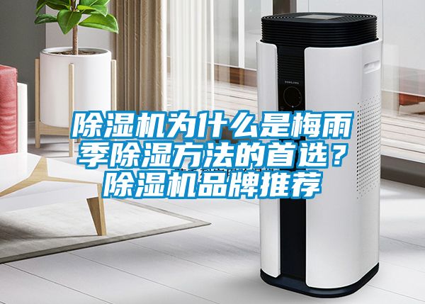 除濕機(jī)為什么是梅雨季除濕方法的首選？除濕機(jī)品牌推薦