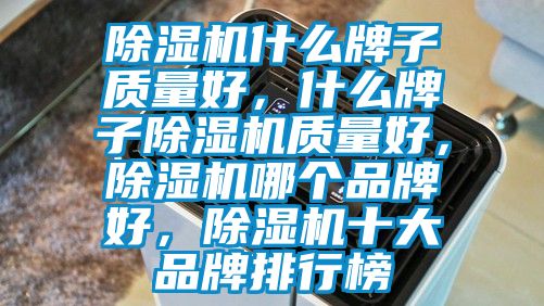 除濕機什么牌子質(zhì)量好，什么牌子除濕機質(zhì)量好，除濕機哪個品牌好，除濕機十大品牌排行榜