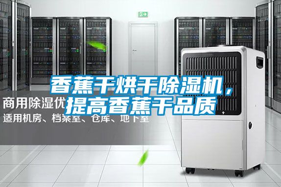 香蕉干烘干除濕機(jī)，提高香蕉干品質(zhì)