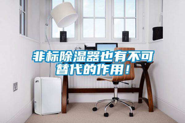 非標(biāo)除濕器也有不可替代的作用！