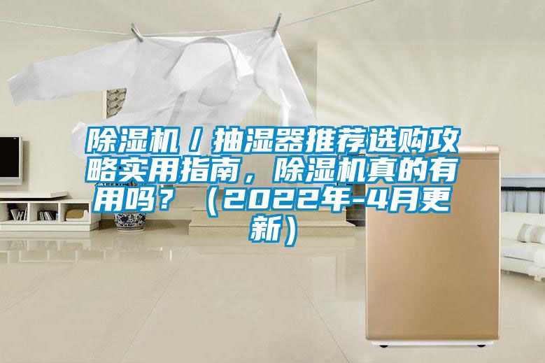 除濕機(jī)／抽濕器推薦選購攻略實(shí)用指南，除濕機(jī)真的有用嗎？（2022年-4月更新）
