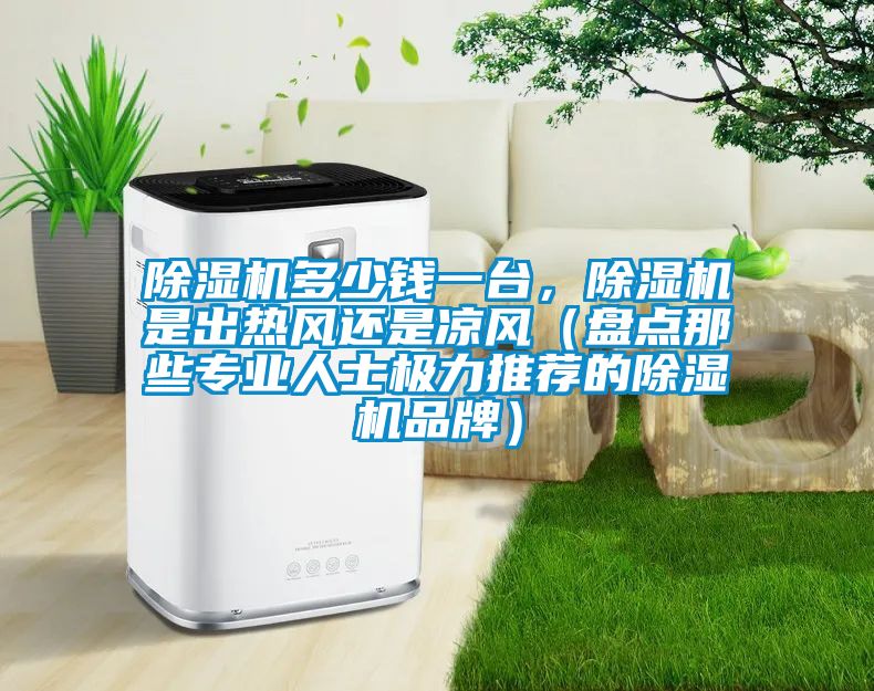 除濕機(jī)多少錢(qián)一臺(tái)，除濕機(jī)是出熱風(fēng)還是涼風(fēng)（盤(pán)點(diǎn)那些專(zhuān)業(yè)人士極力推薦的除濕機(jī)品牌）