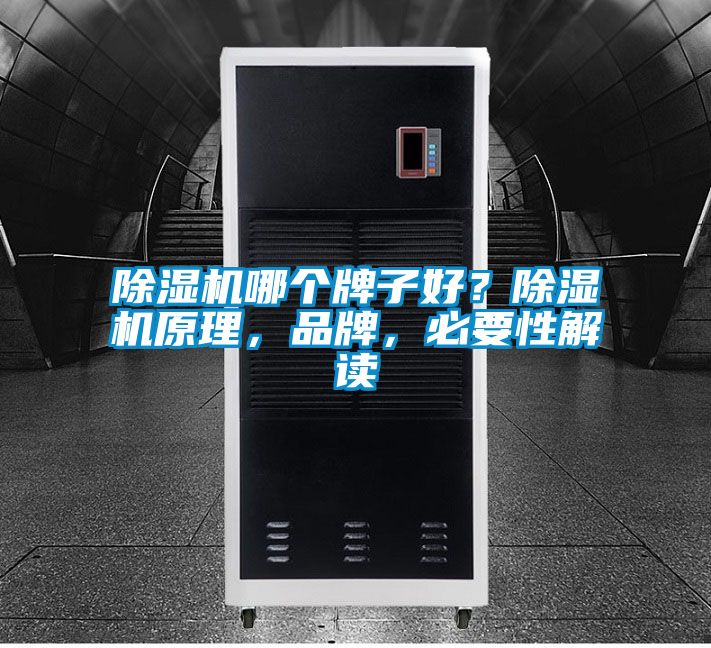 除濕機(jī)哪個牌子好？除濕機(jī)原理，品牌，必要性解讀