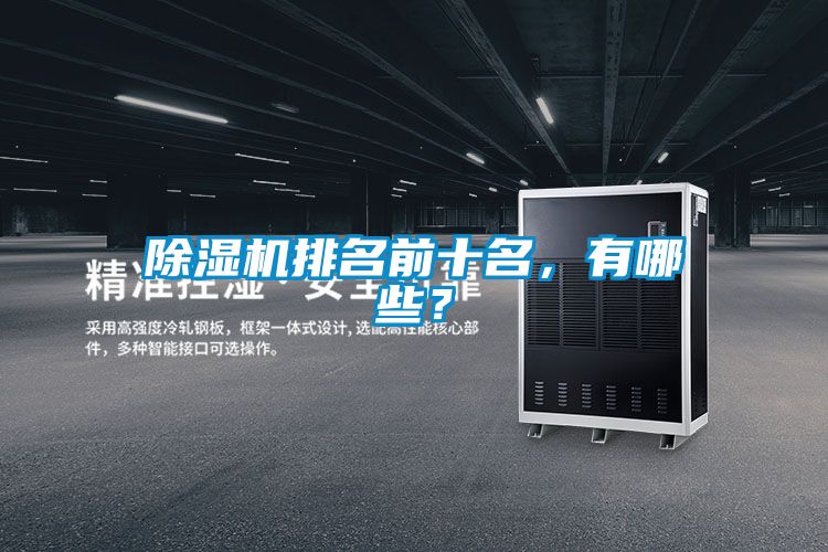 除濕機(jī)排名前十名，有哪些？