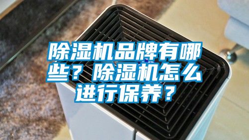 除濕機品牌有哪些？除濕機怎么進行保養(yǎng)？