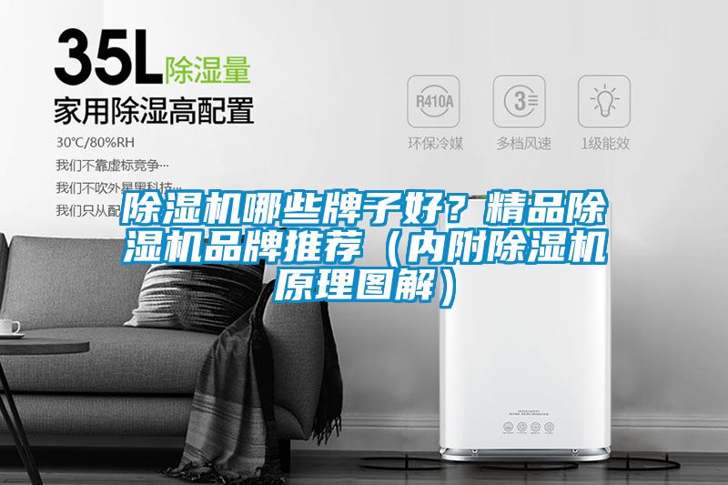 除濕機哪些牌子好？精品除濕機品牌推薦（內(nèi)附除濕機原理圖解）