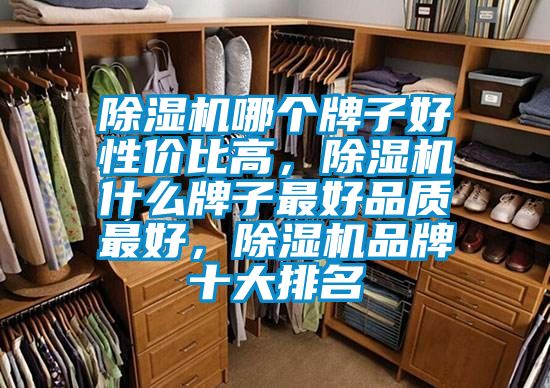 除濕機哪個牌子好性價比高，除濕機什么牌子最好品質(zhì)最好，除濕機品牌十大排名