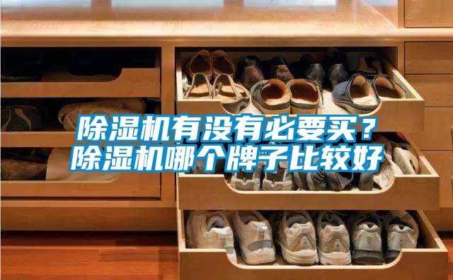 除濕機有沒有必要買？除濕機哪個牌子比較好