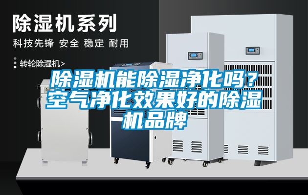 除濕機能除濕凈化嗎？空氣凈化效果好的除濕機品牌