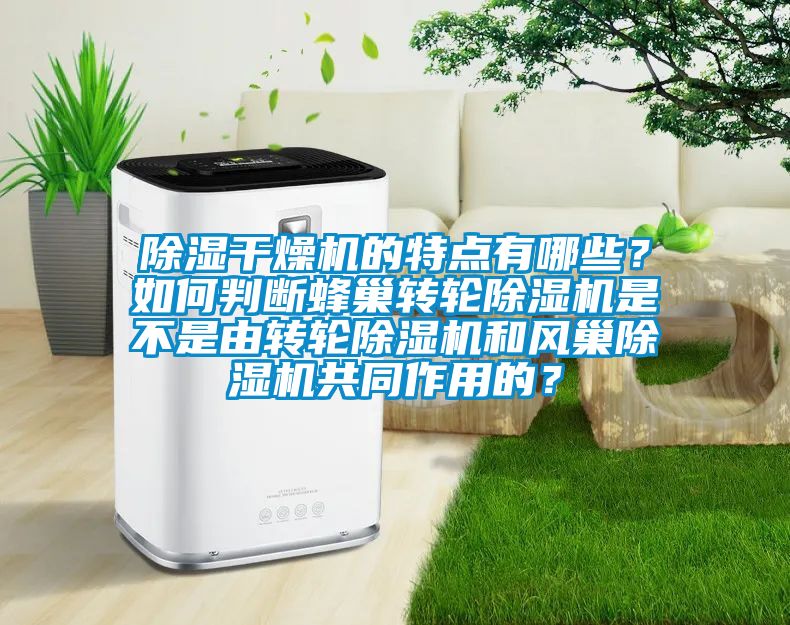 除濕干燥機(jī)的特點有哪些？如何判斷蜂巢轉(zhuǎn)輪除濕機(jī)是不是由轉(zhuǎn)輪除濕機(jī)和風(fēng)巢除濕機(jī)共同作用的？