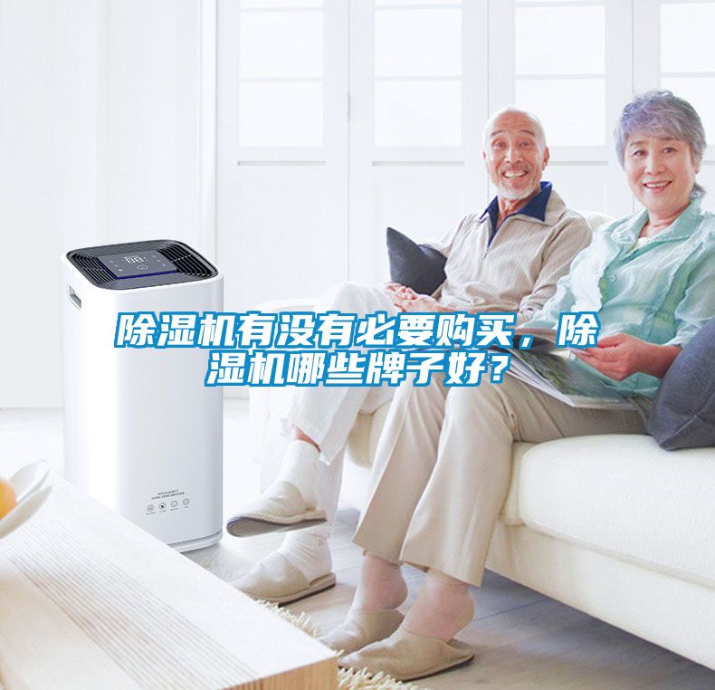 除濕機(jī)有沒(méi)有必要購(gòu)買，除濕機(jī)哪些牌子好？