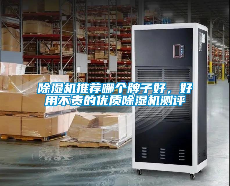 除濕機(jī)推薦哪個(gè)牌子好，好用不貴的優(yōu)質(zhì)除濕機(jī)測評