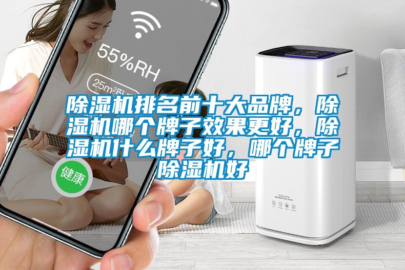 除濕機排名前十大品牌，除濕機哪個牌子效果更好，除濕機什么牌子好，哪個牌子除濕機好