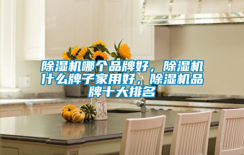 除濕機(jī)哪個(gè)品牌好，除濕機(jī)什么牌子家用好，除濕機(jī)品牌十大排名
