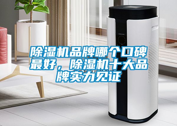 除濕機品牌哪個口碑最好，除濕機十大品牌實力見證