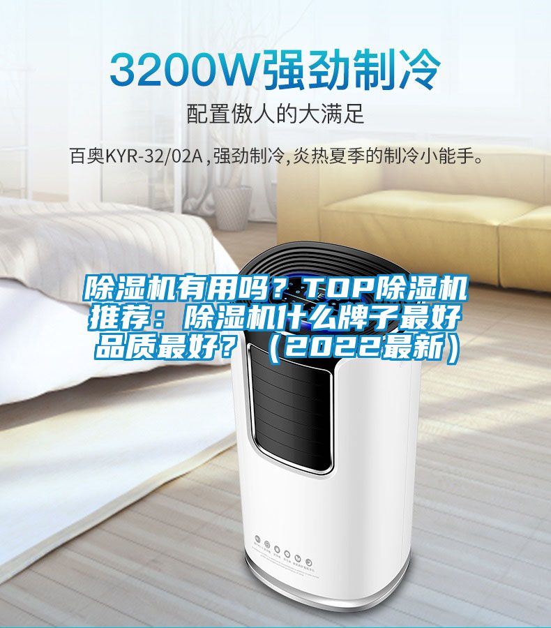 除濕機(jī)有用嗎？TOP除濕機(jī)推薦：除濕機(jī)什么牌子最好品質(zhì)最好？（2022最新）