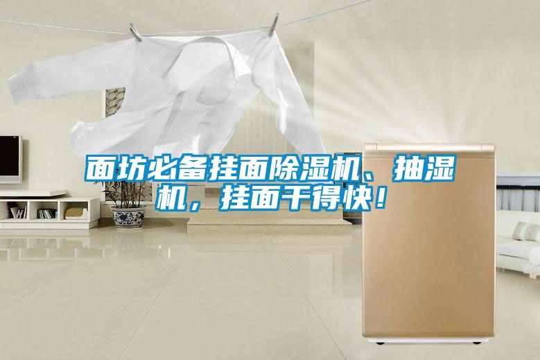 面坊必備掛面除濕機(jī)、抽濕機(jī)，掛面干得快！