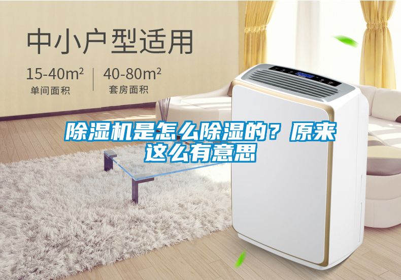 除濕機是怎么除濕的？原來這么有意思