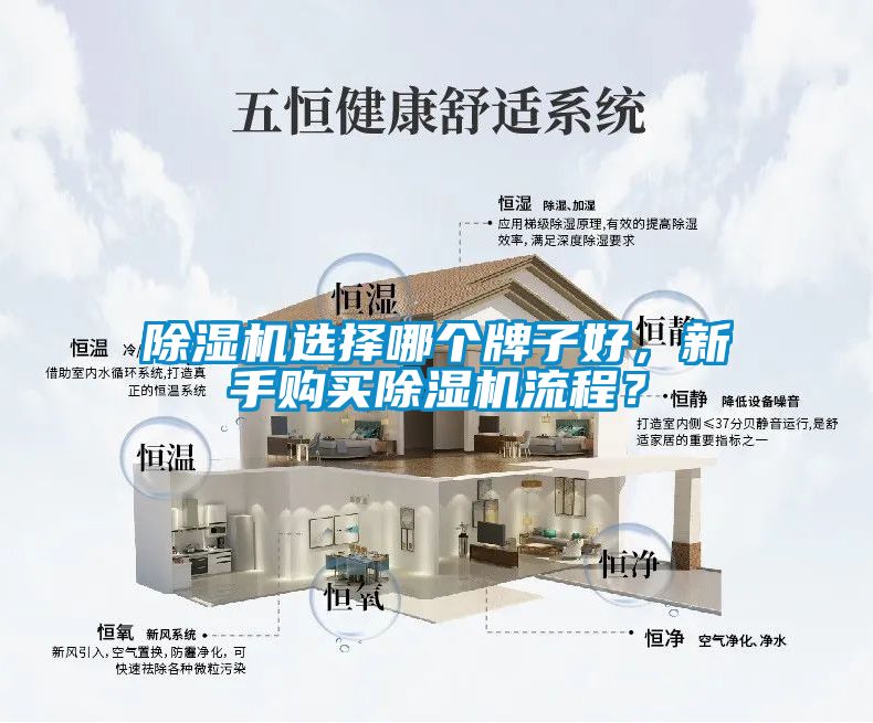 除濕機(jī)選擇哪個(gè)牌子好，新手購(gòu)買(mǎi)除濕機(jī)流程？