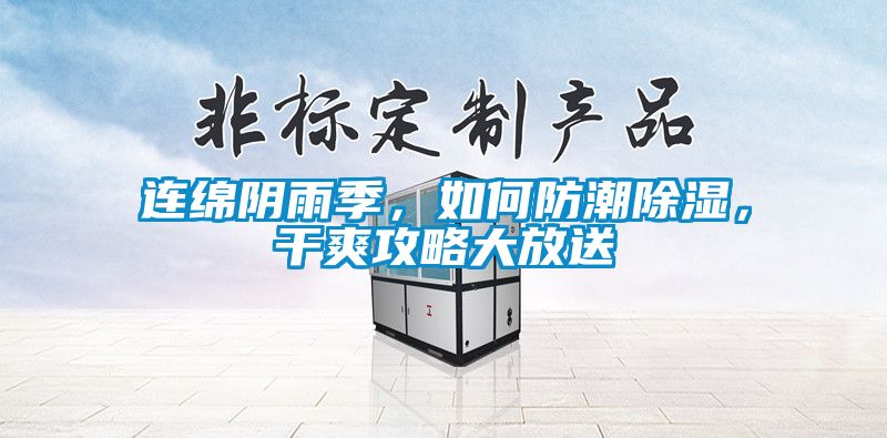 連綿陰雨季，如何防潮除濕，干爽攻略大放送