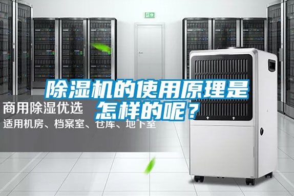 除濕機的使用原理是怎樣的呢？