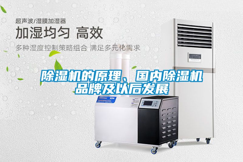 除濕機(jī)的原理、國內(nèi)除濕機(jī)品牌及以后發(fā)展
