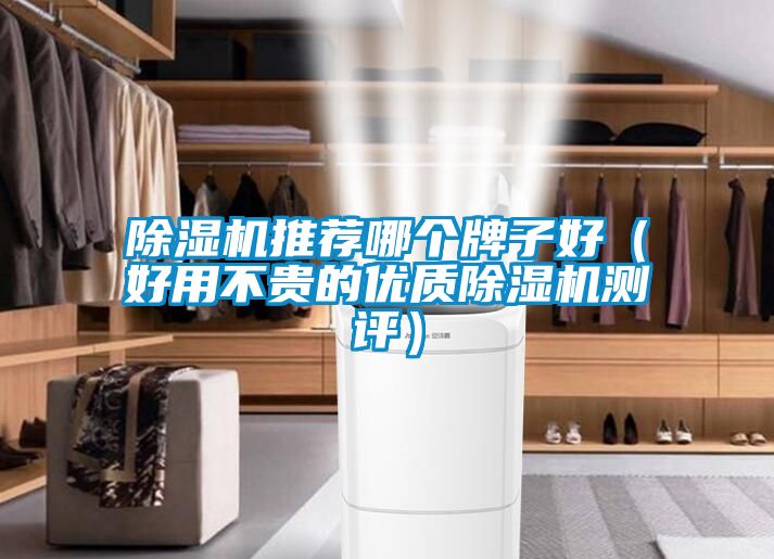 除濕機(jī)推薦哪個(gè)牌子好（好用不貴的優(yōu)質(zhì)除濕機(jī)測評）