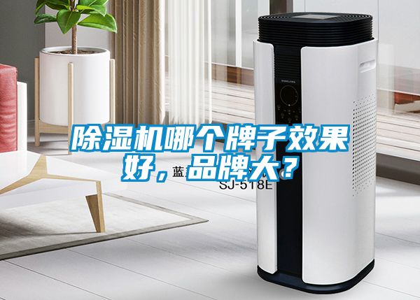 除濕機(jī)哪個(gè)牌子效果好，品牌大？