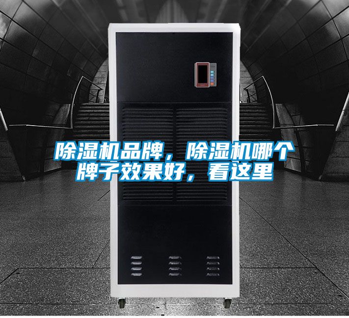 除濕機品牌，除濕機哪個牌子效果好，看這里