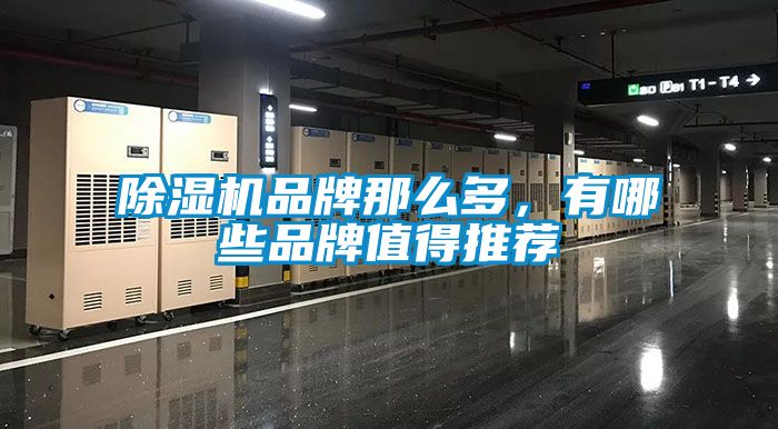 除濕機(jī)品牌那么多，有哪些品牌值得推薦