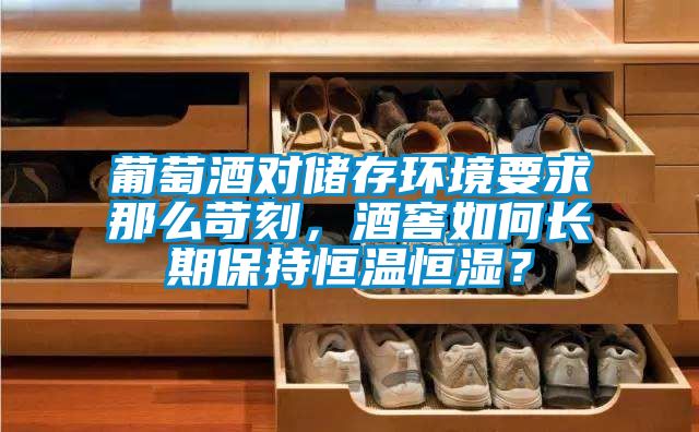 葡萄酒對(duì)儲(chǔ)存環(huán)境要求那么苛刻，酒窖如何長(zhǎng)期保持恒溫恒濕？
