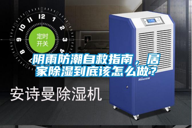 陰雨防潮自救指南，居家除濕到底該怎么做？